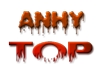 logo firmy ANHYTOP - specialisté na lité betonové podlahy